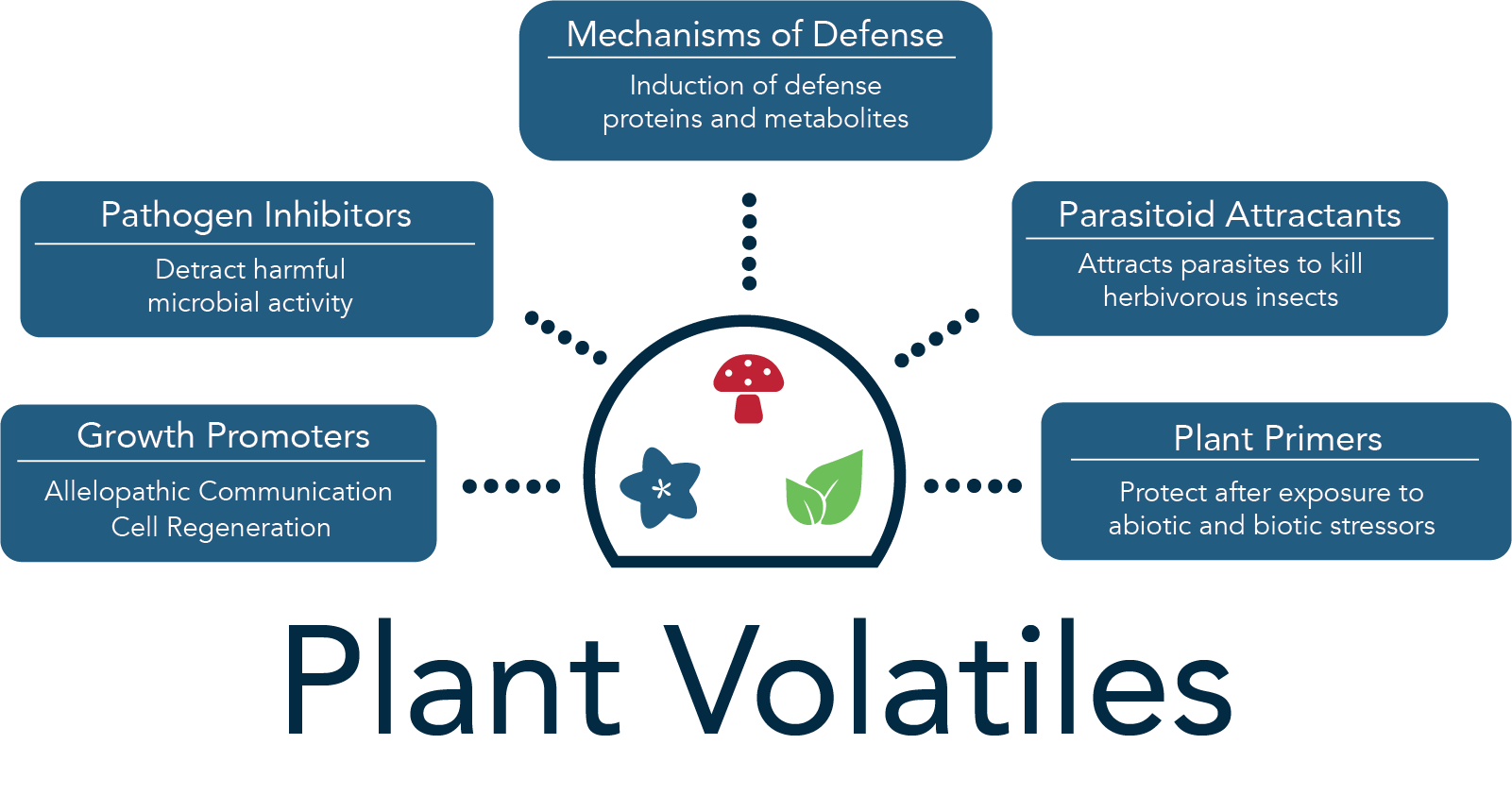 plant-voc-quick-graphic-2 Plant Volatiles: Solving a Global Problem